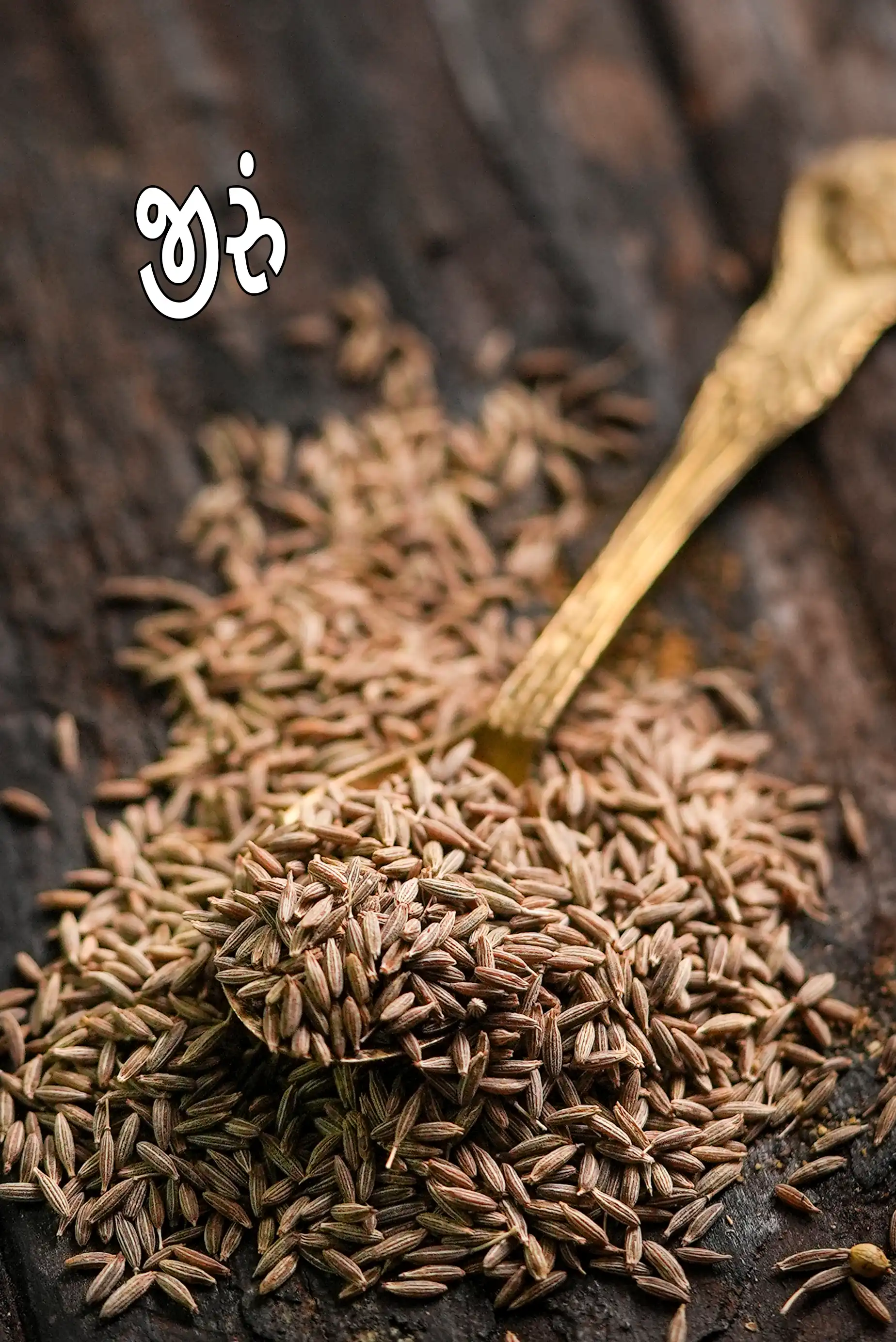 cumin seeds