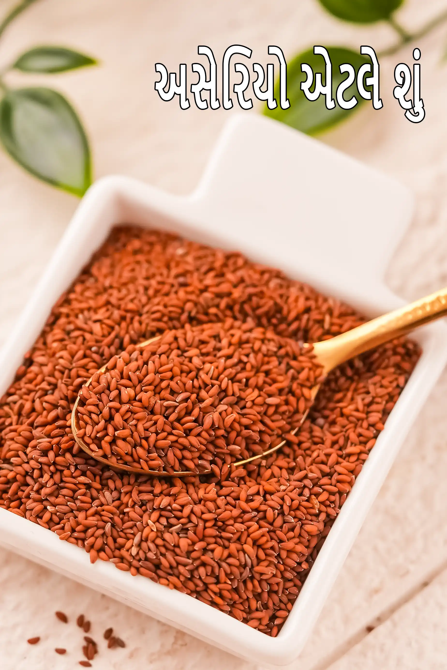 garden cress seeds