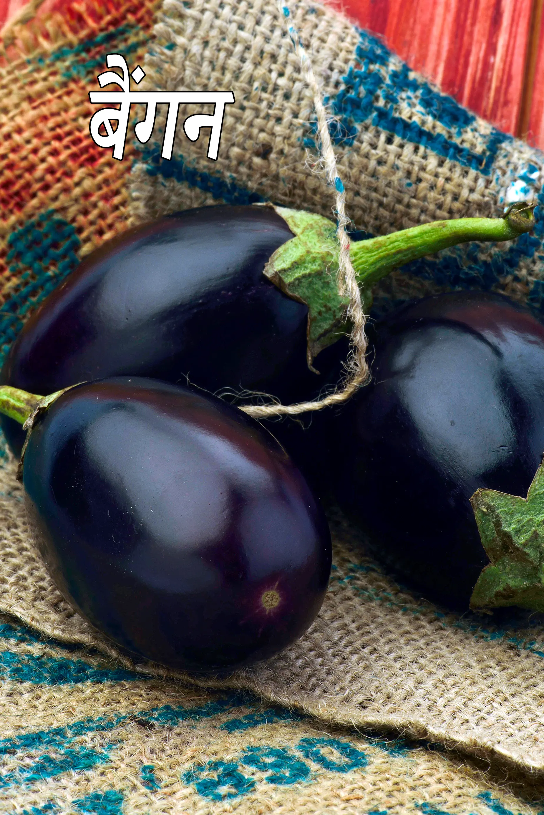 brinjal