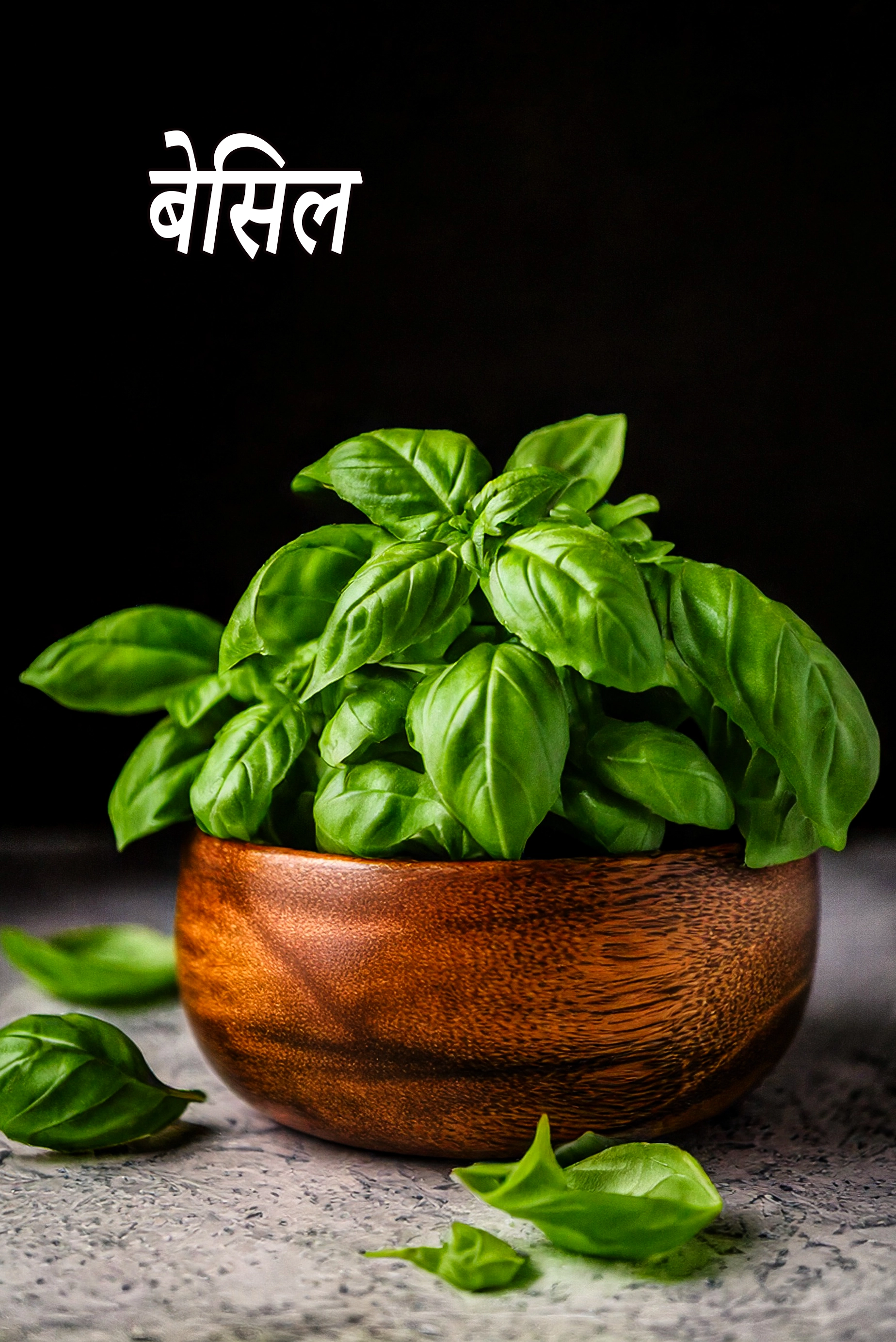 basil