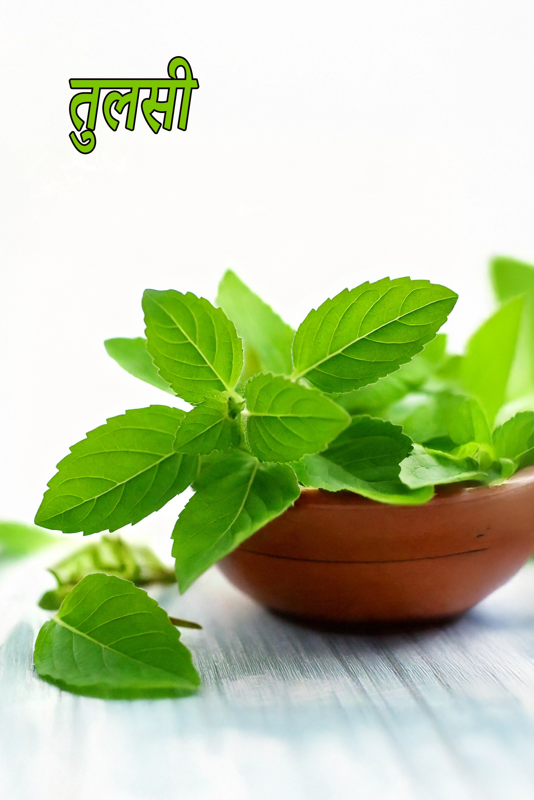 tulsi leaves