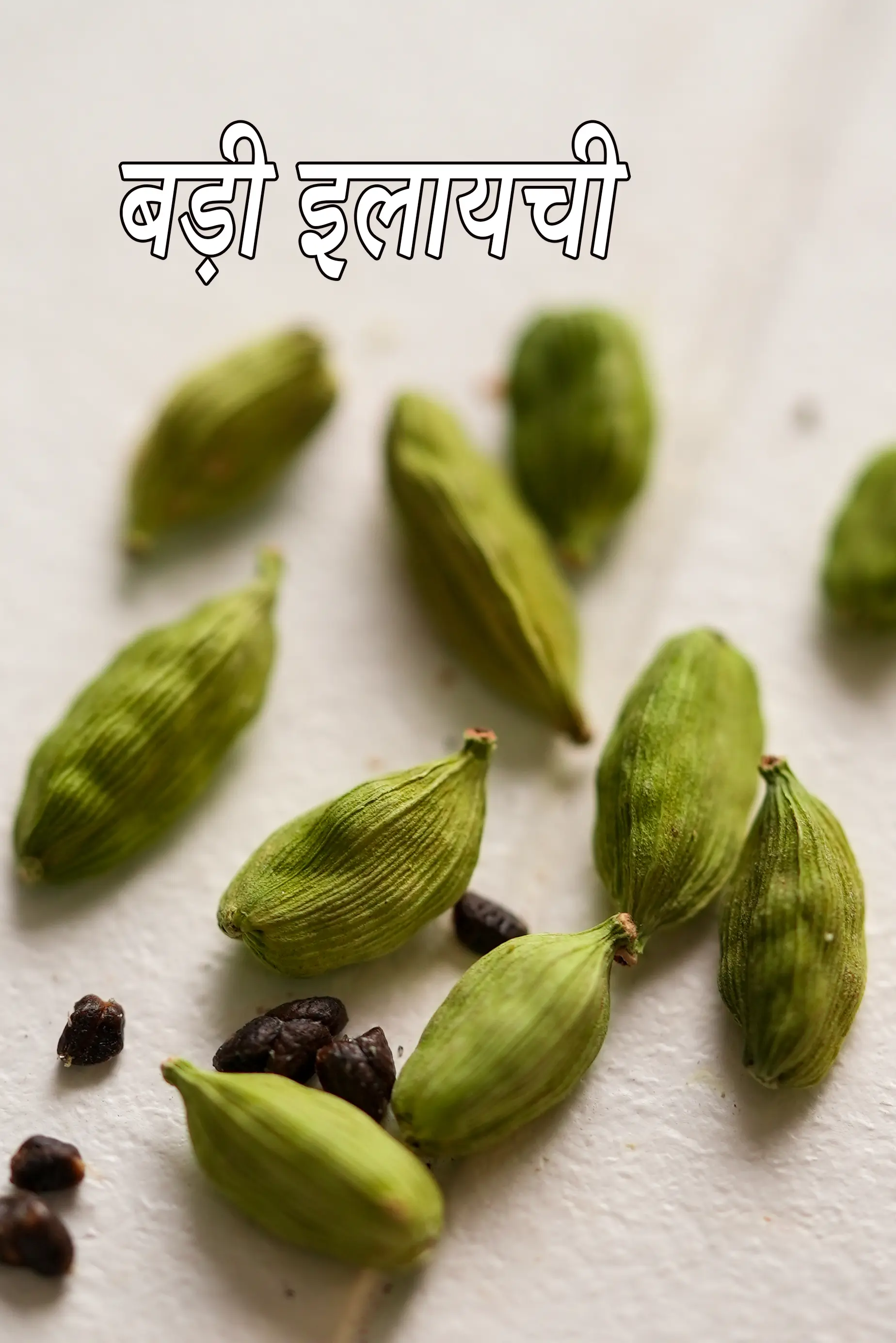 cardamom