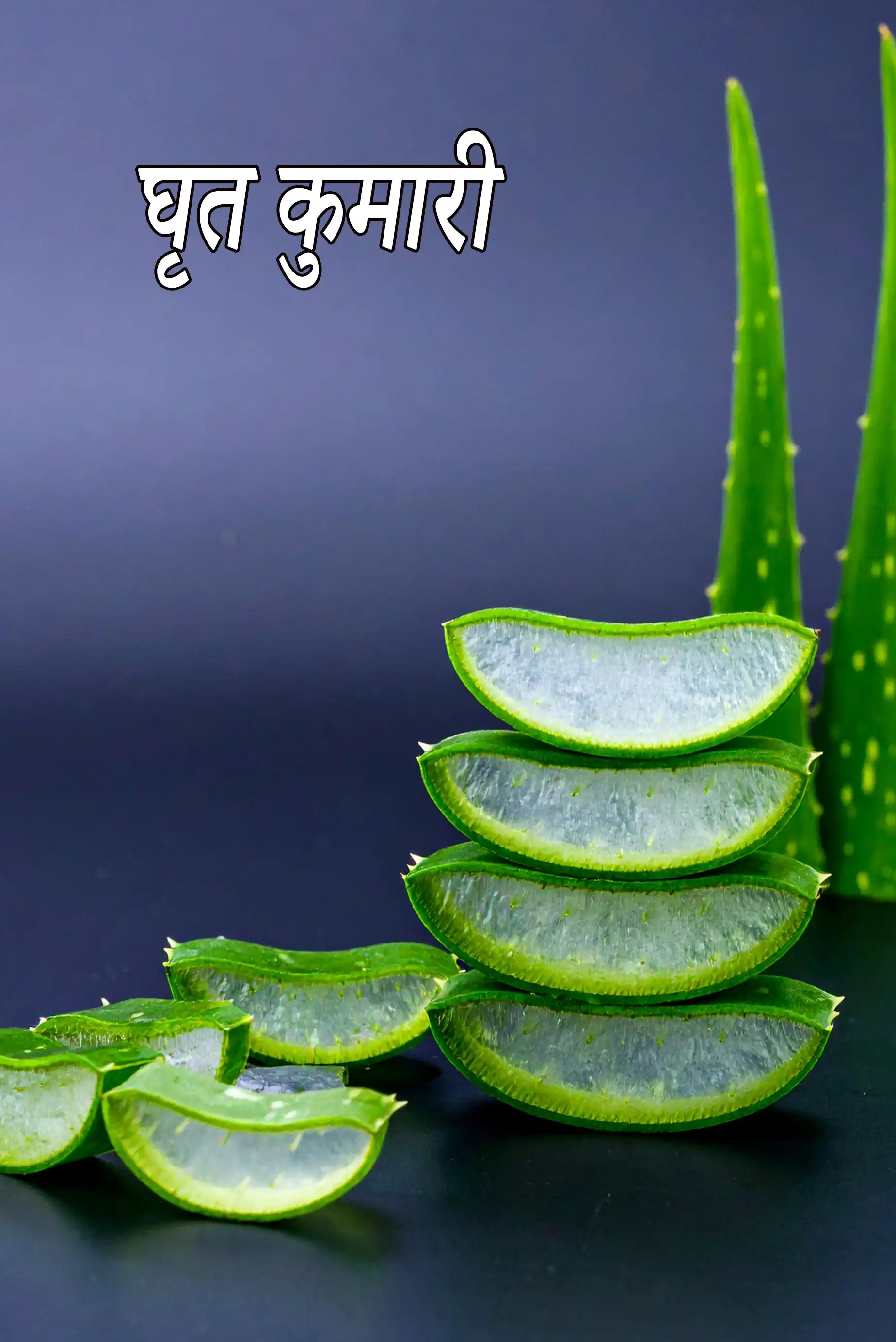 aloe vera