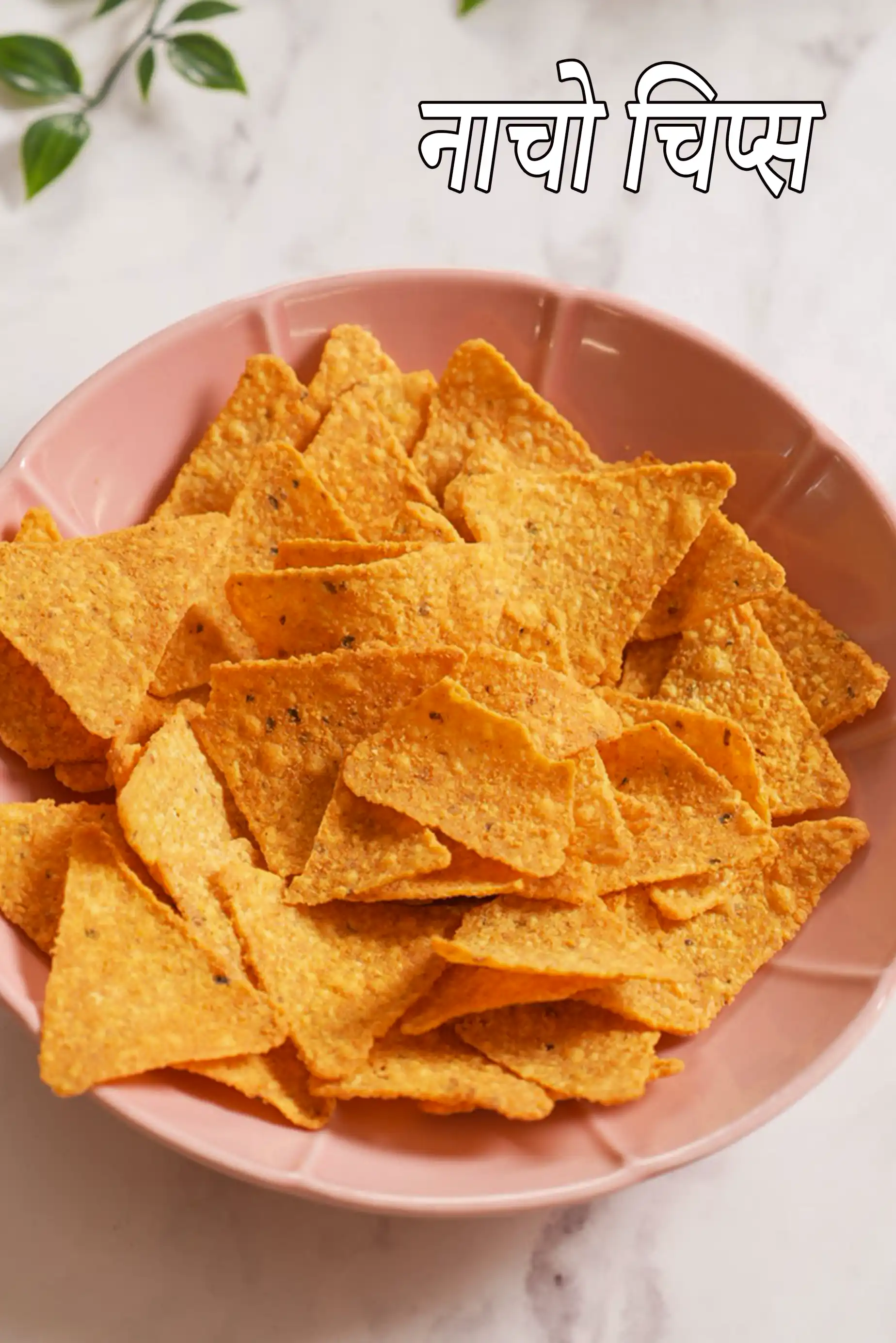 nacho chips or tortilla chips