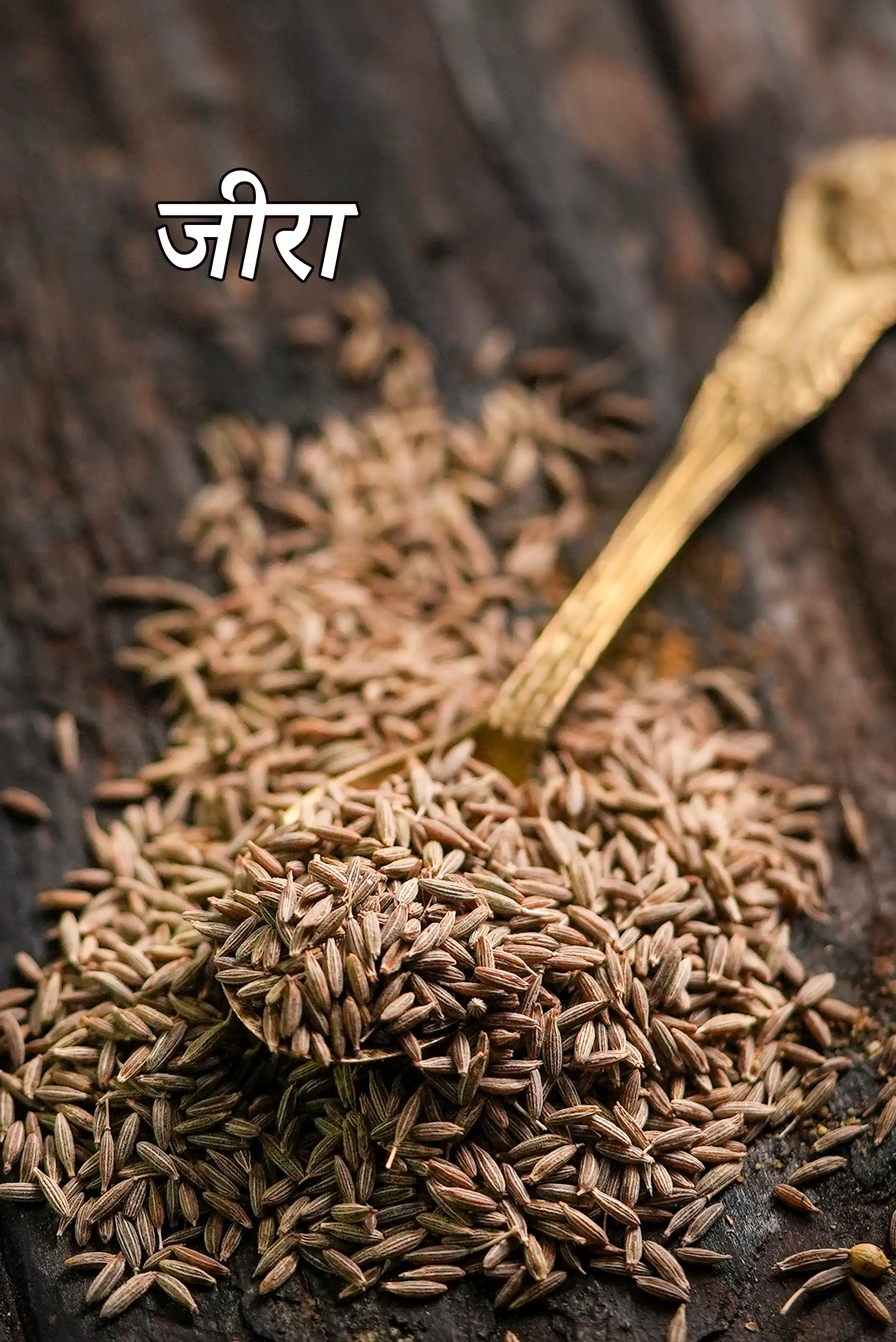 cumin seeds
