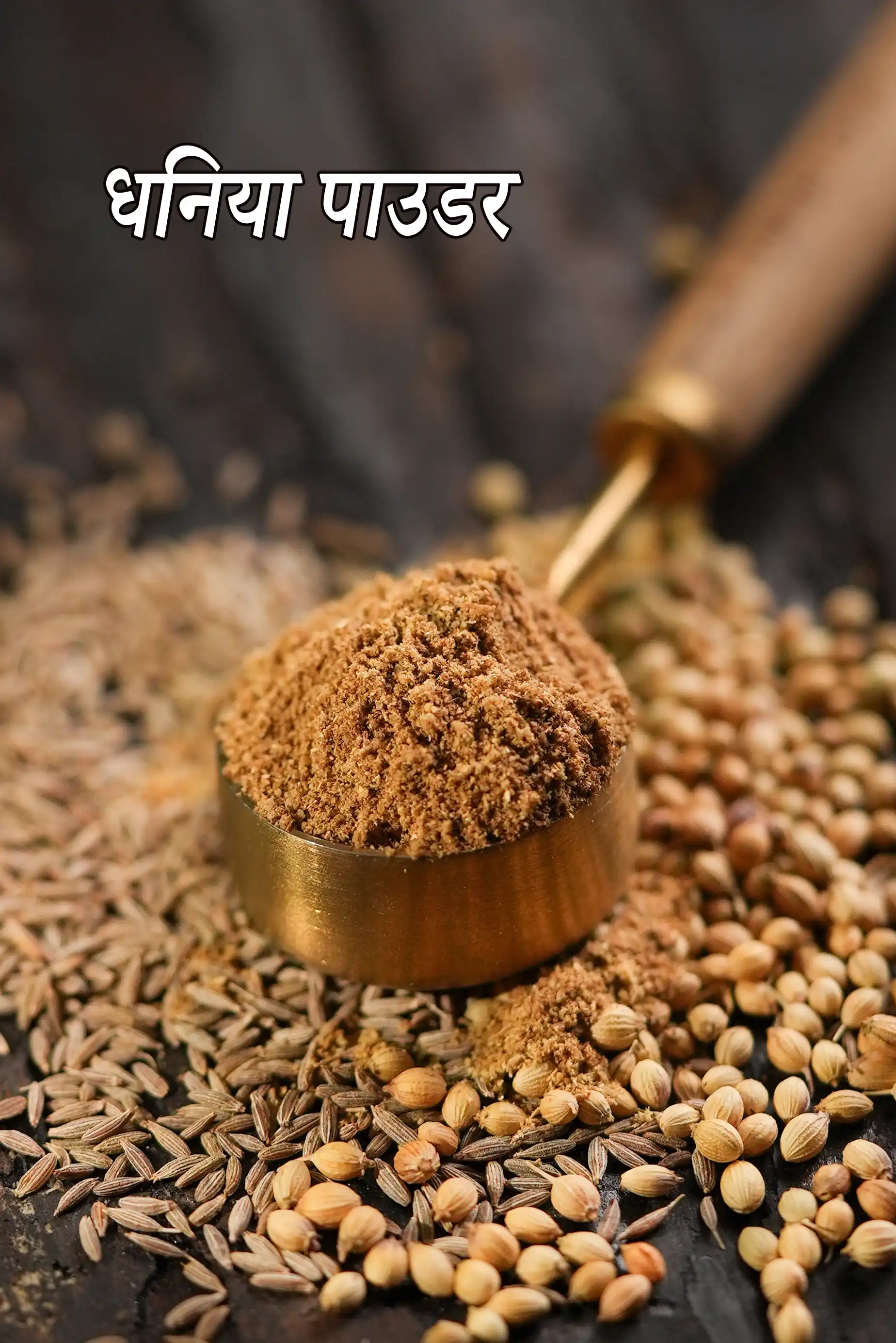 coriander powder