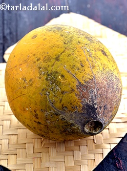 Wood Apple 