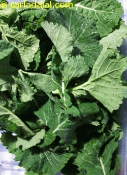collard