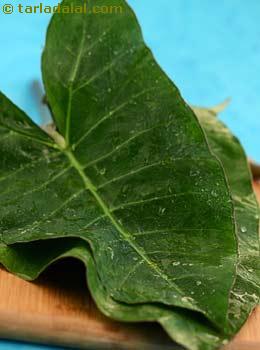 colocasia leaves