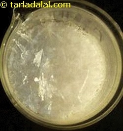 glacial acetic acid