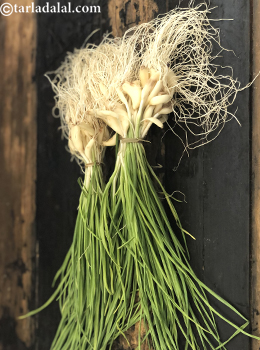 fresh green garlic