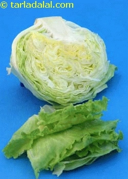 iceberg lettuce