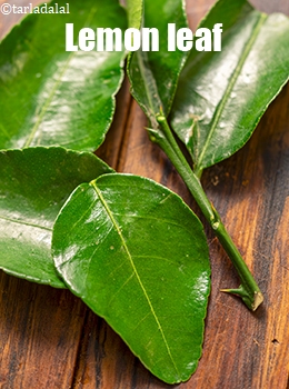 lemon leaf