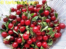 maraschino cherries