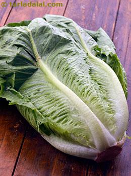 romaine lettuce