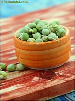 sprouted hara vatana