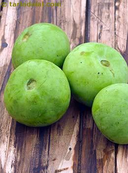 round gourd