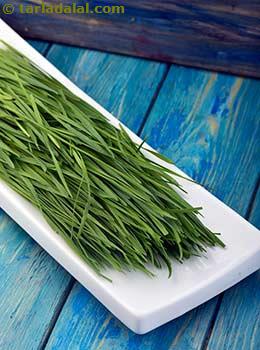 wheat grass