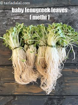 baby fenugreek leaves