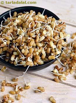 boiled sprouted matki