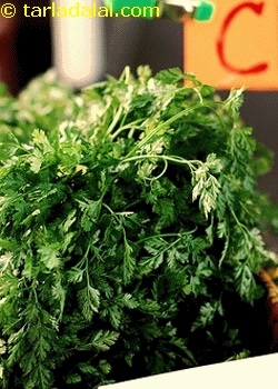 chervil