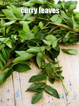 curry leaves