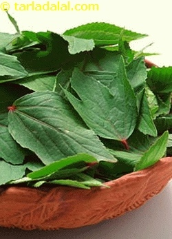 gongura