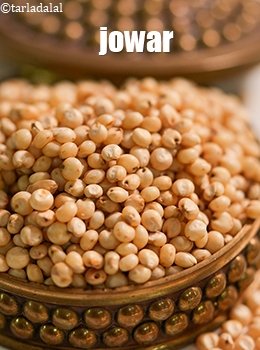jowar