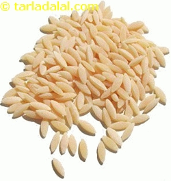 orzo