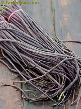 purple radish pods