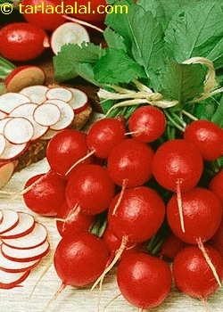 red radish