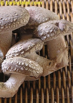shitake mushrooms