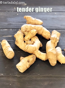 tender ginger