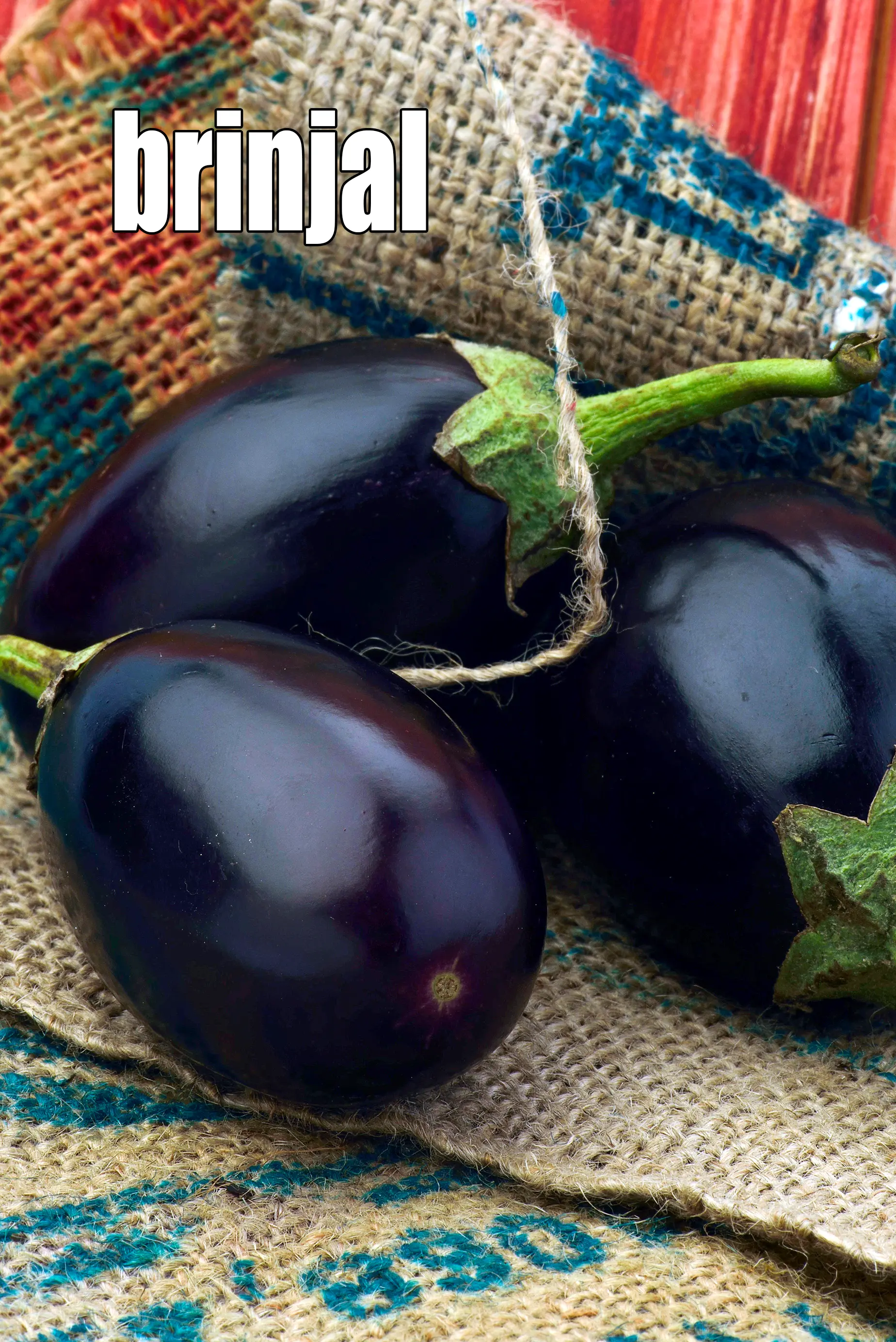 brinjal