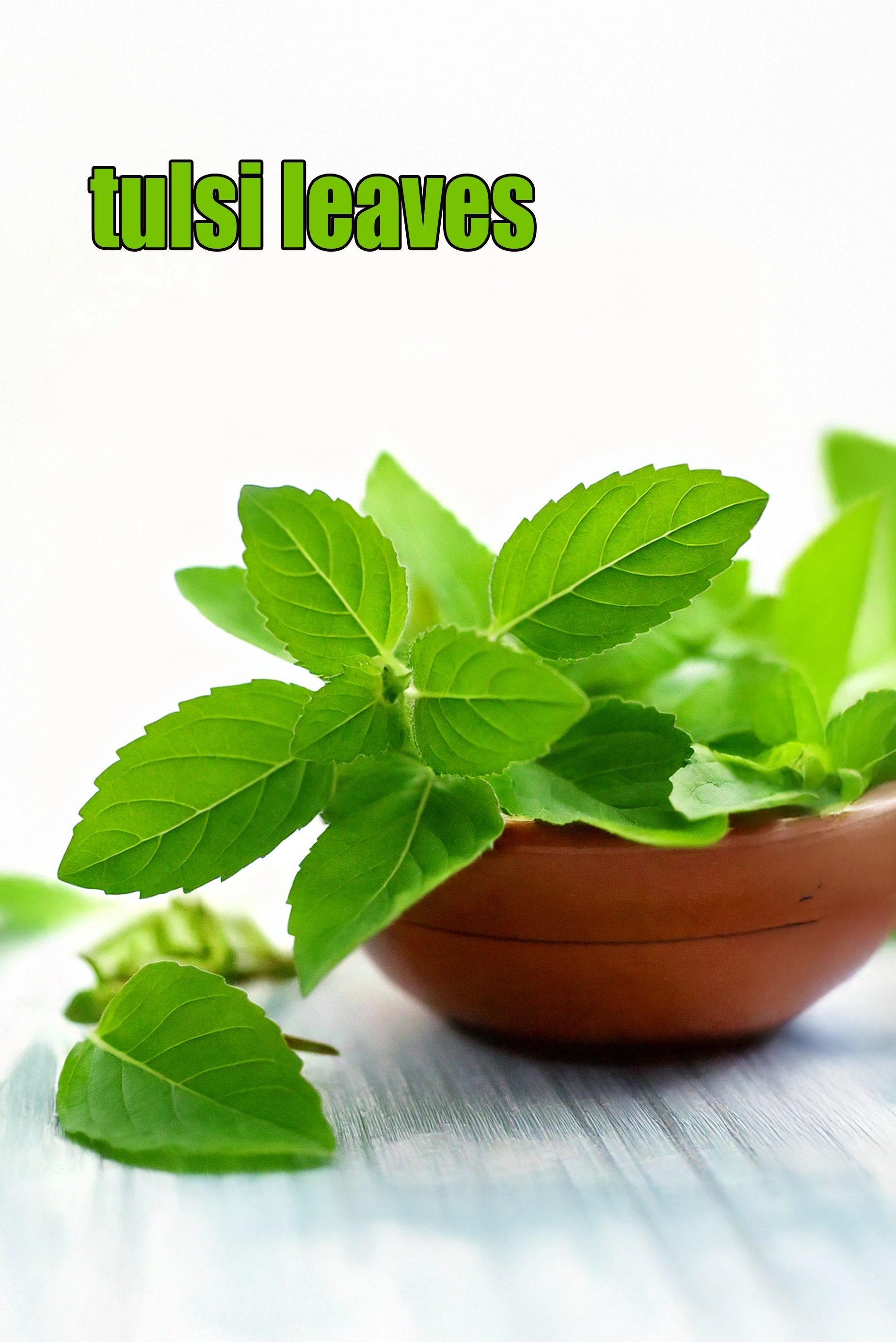 tulsi leaves