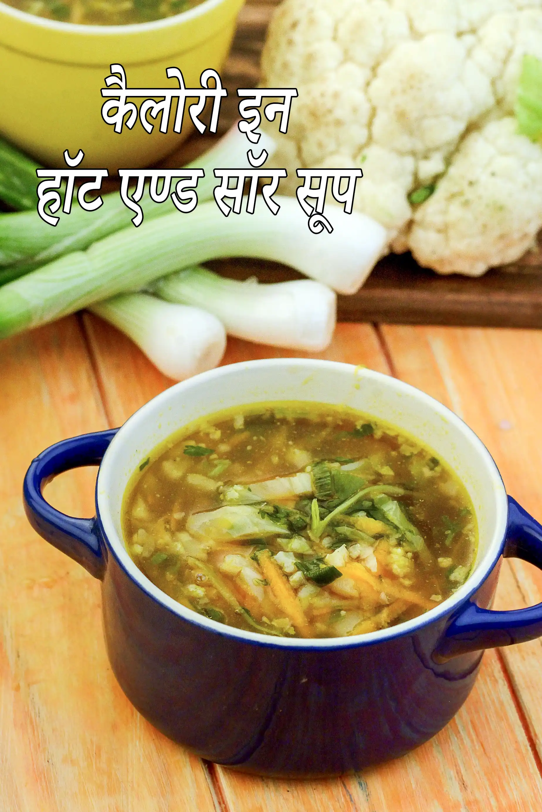 Hot and Sour Soup ( Chinese Recipe )