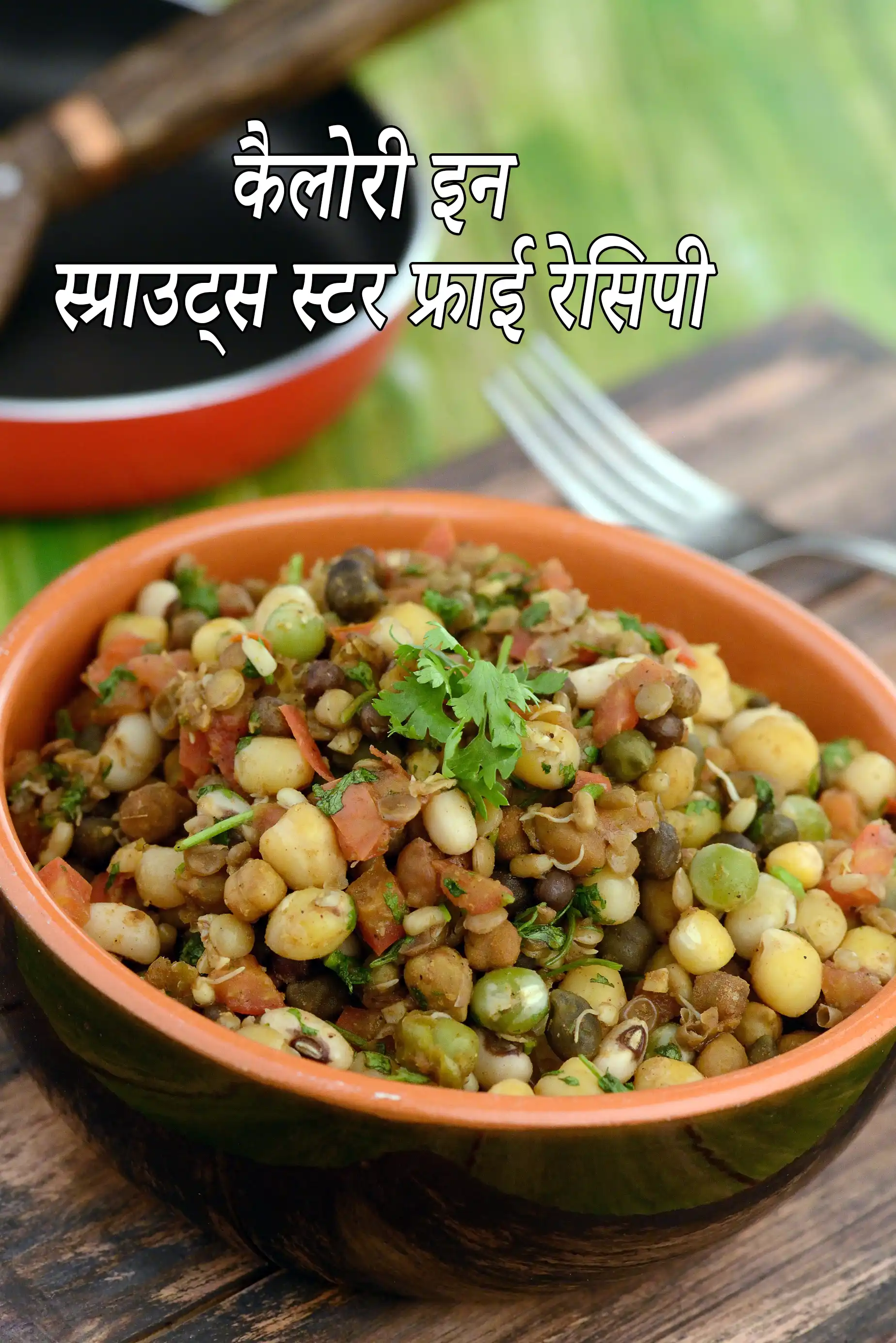 Sprouts Stir Fry, Mixed Sprouts Sabzi