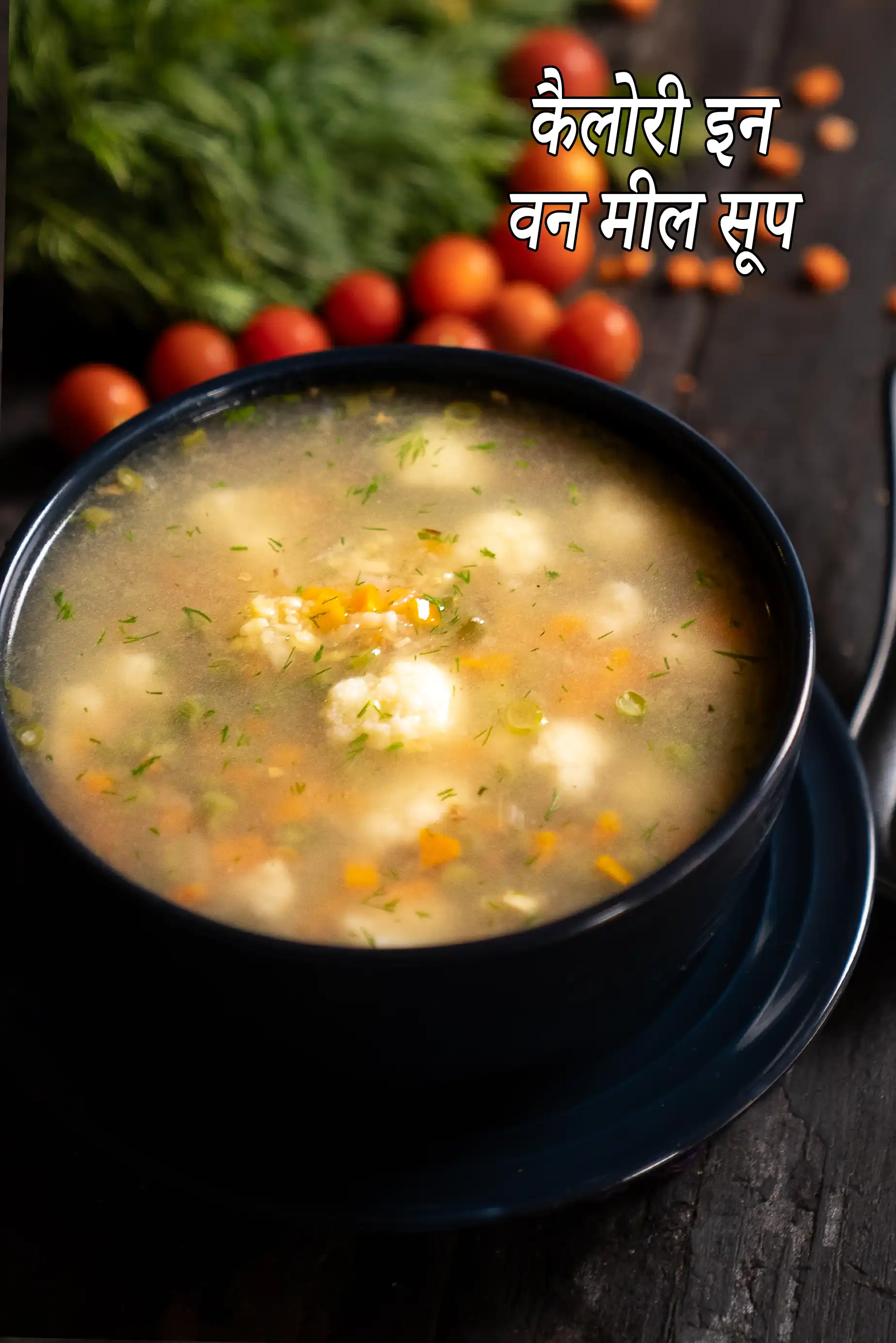 One Meal Soup, Healthy Indian Dal Vegetable Soup