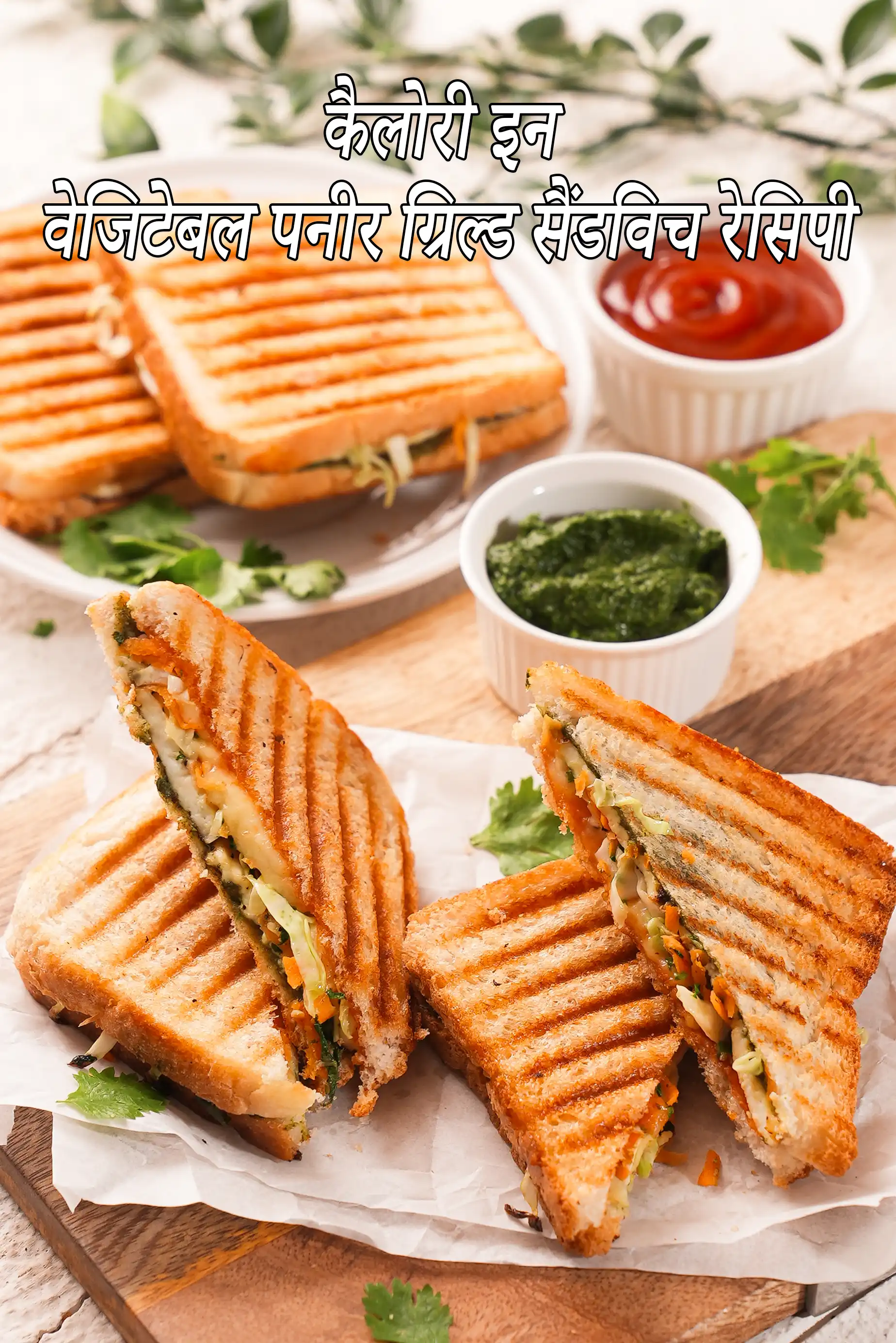 Vegetable Paneer Grilled Sandwich