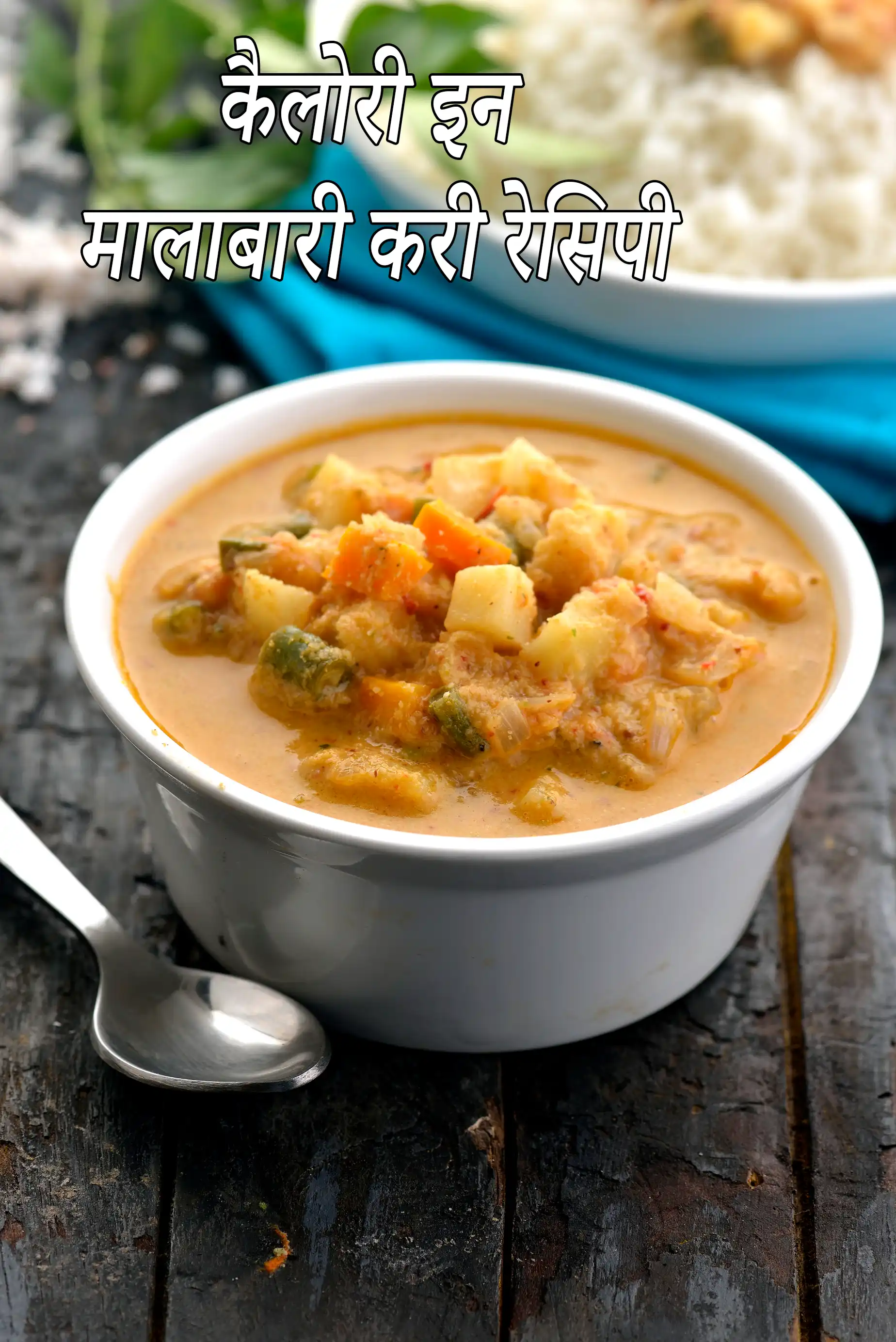 Malabari Curry, South Indian Vegetable Curry