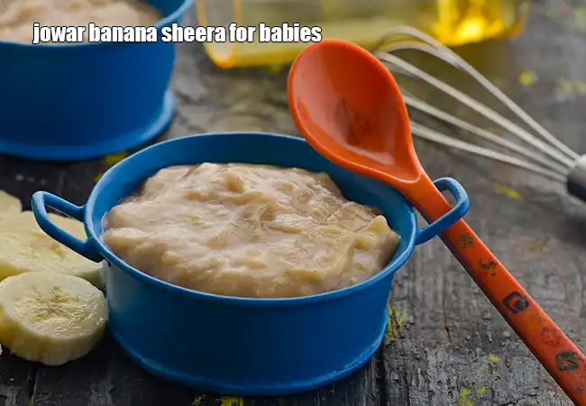 Apple Puree Recipe (Baby Food - 4 months onwards)