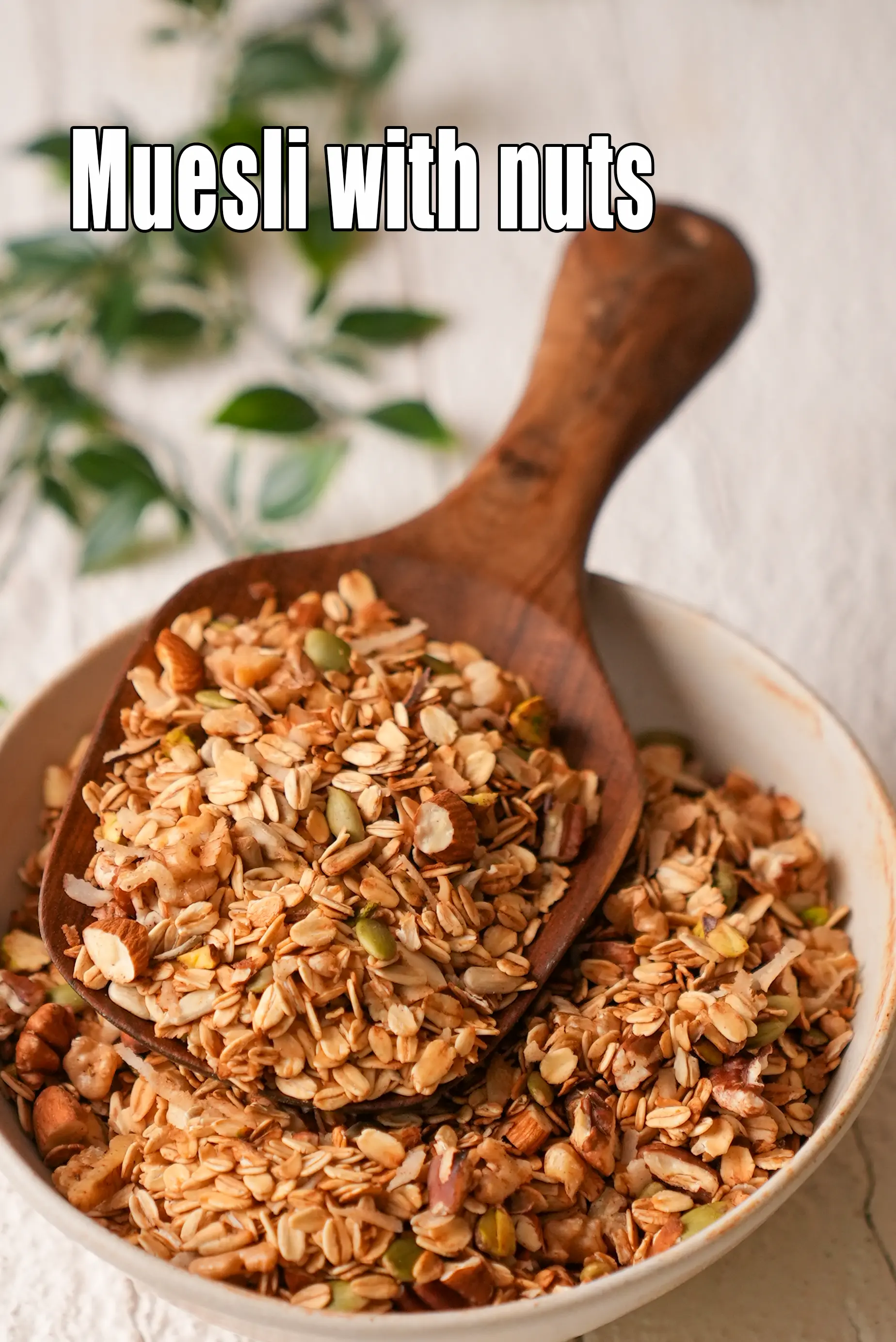 Muesli with nuts | tava Muesli | Indian style Muesli | healthy homemade Muesli | 