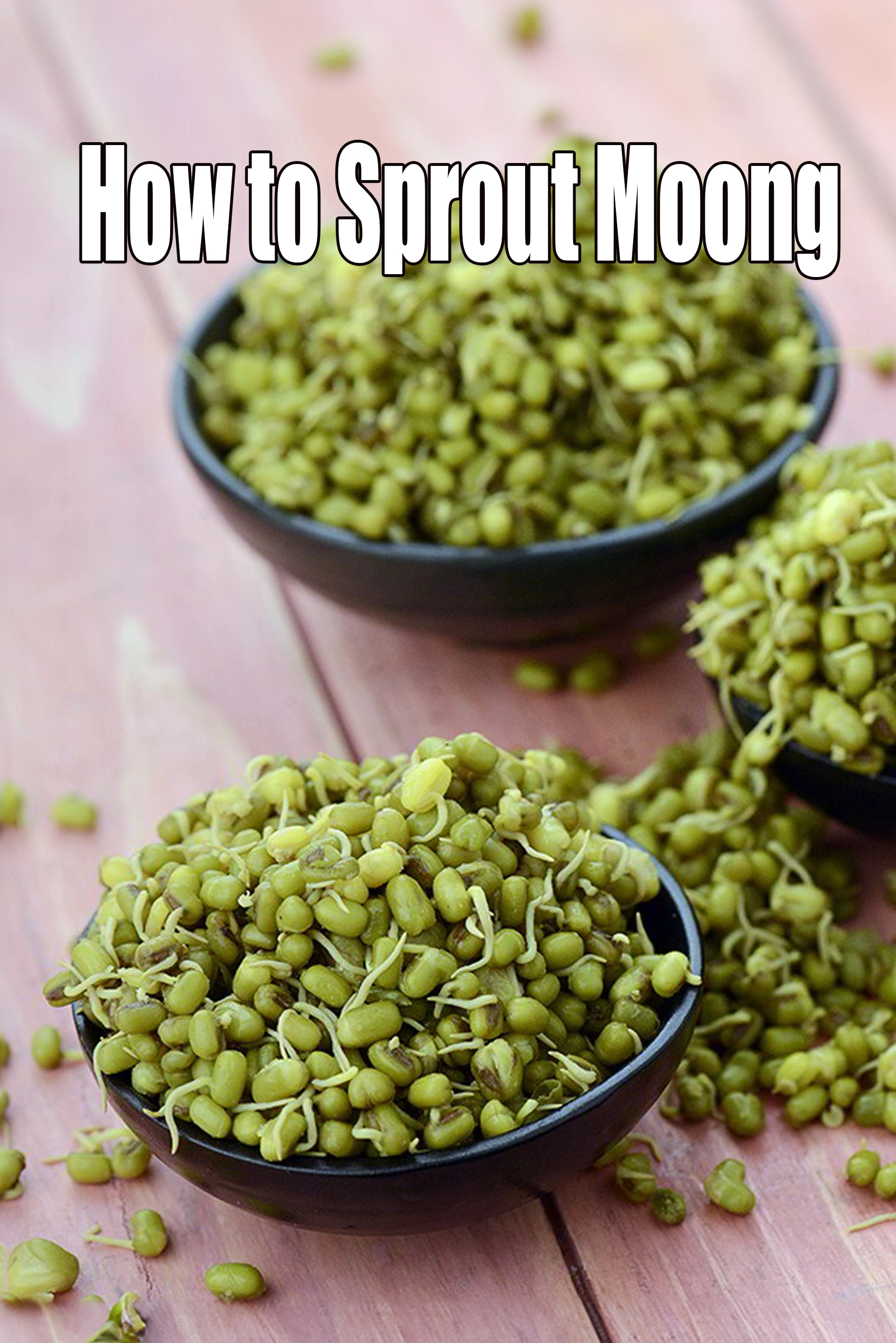 how to sprout moong | healthy mung beans sprouts | how to sprout mung beans at home | how to make sprouts
