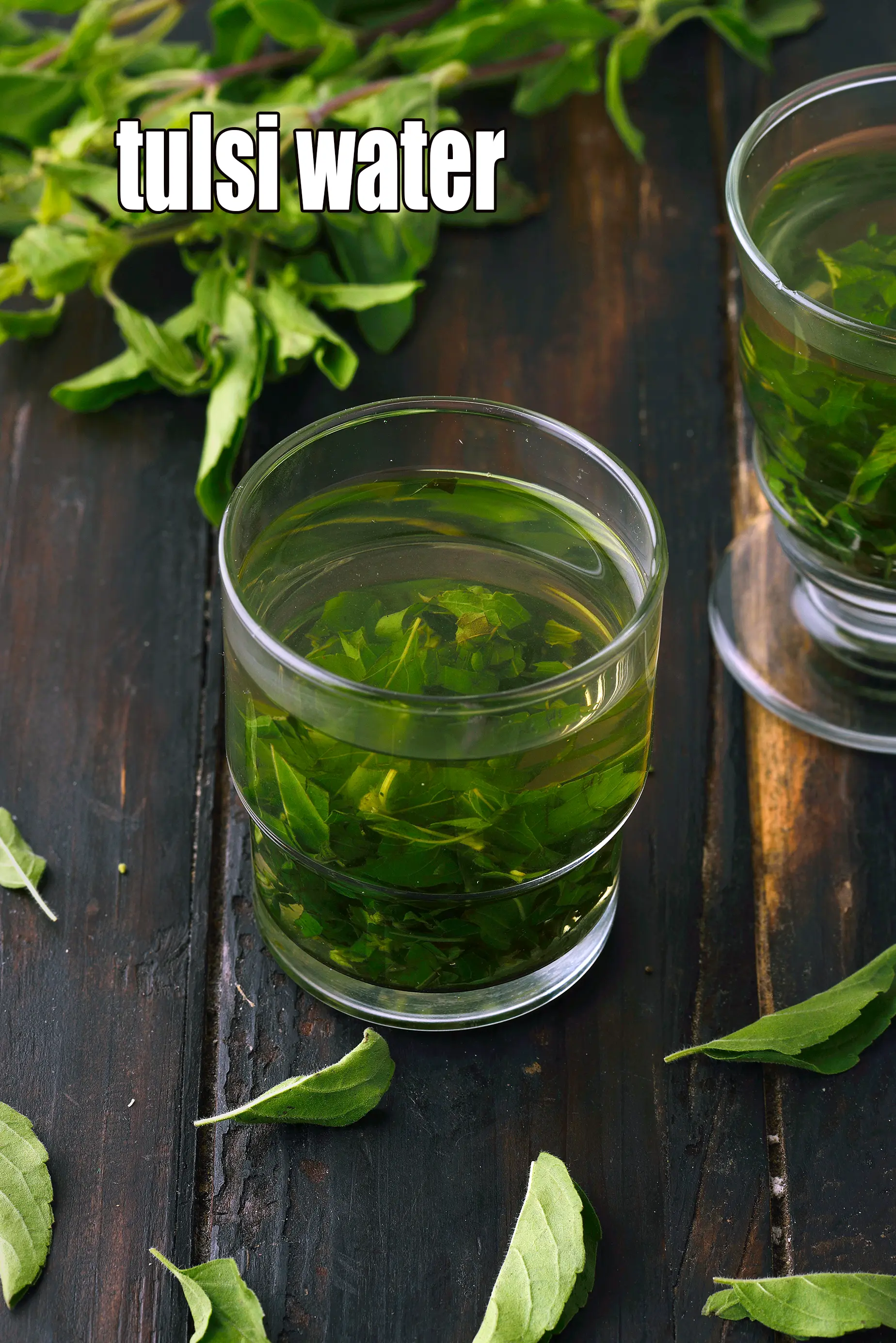 tulsi water | 100% tulsi water | holy basil water | indian tulsi water |