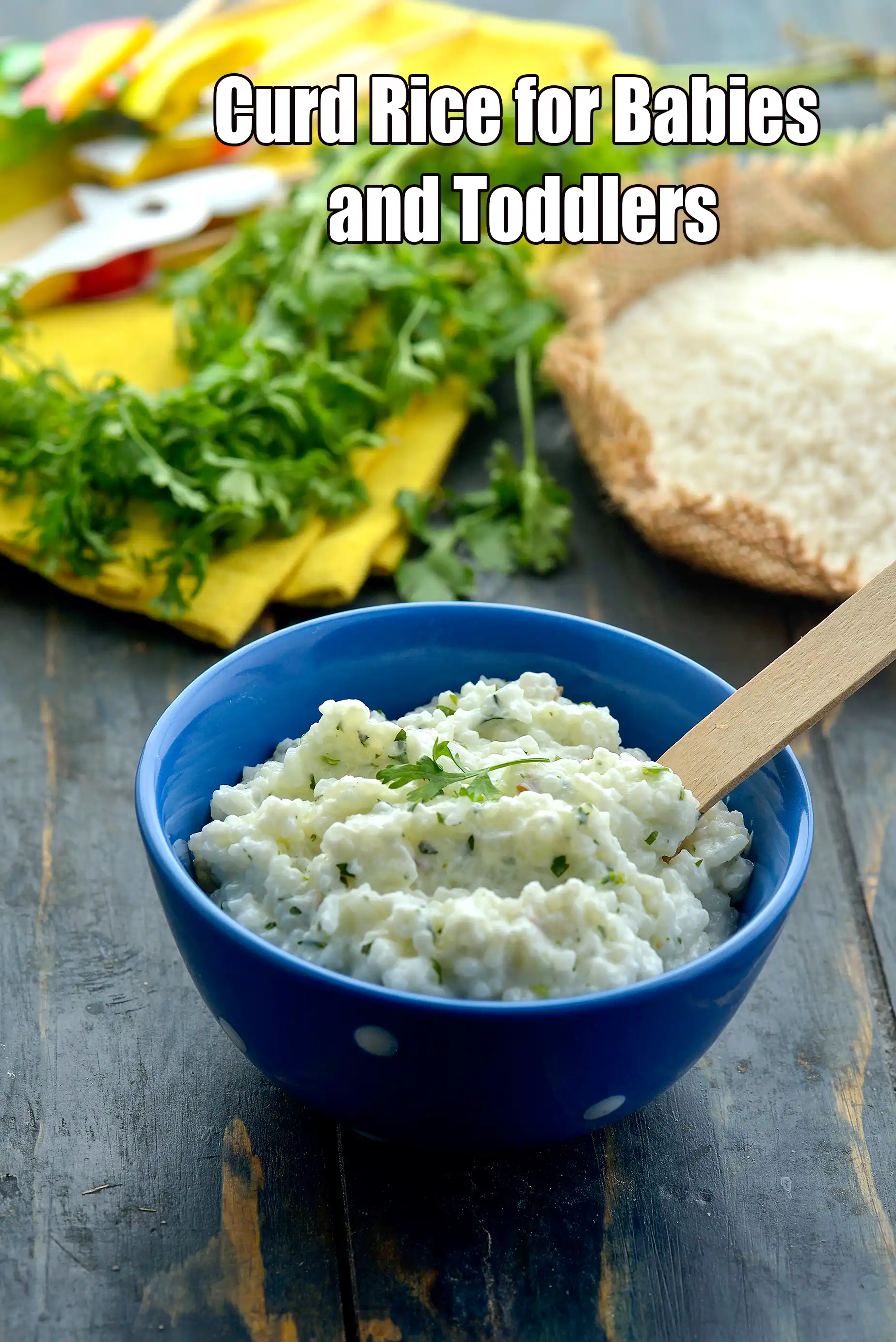 Curd Rice for Babies and Toddlers | Curd Rice for Babies | Curd Rice for Kids | Toddler Curd Rice Recipe |