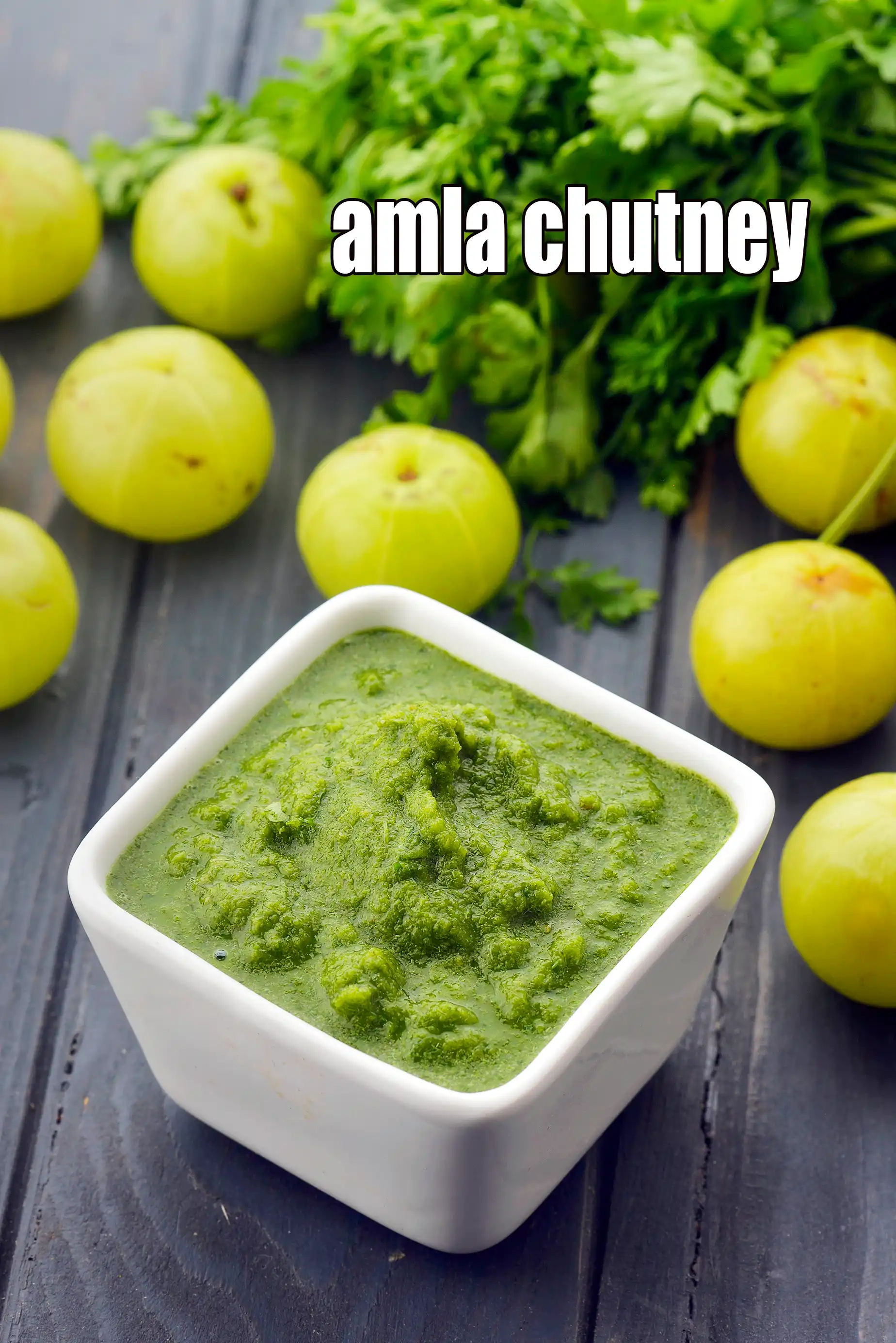 amla chutney recipe | Indian gooseberry spicy chutney | raw amla chutney | nellikai chutney |