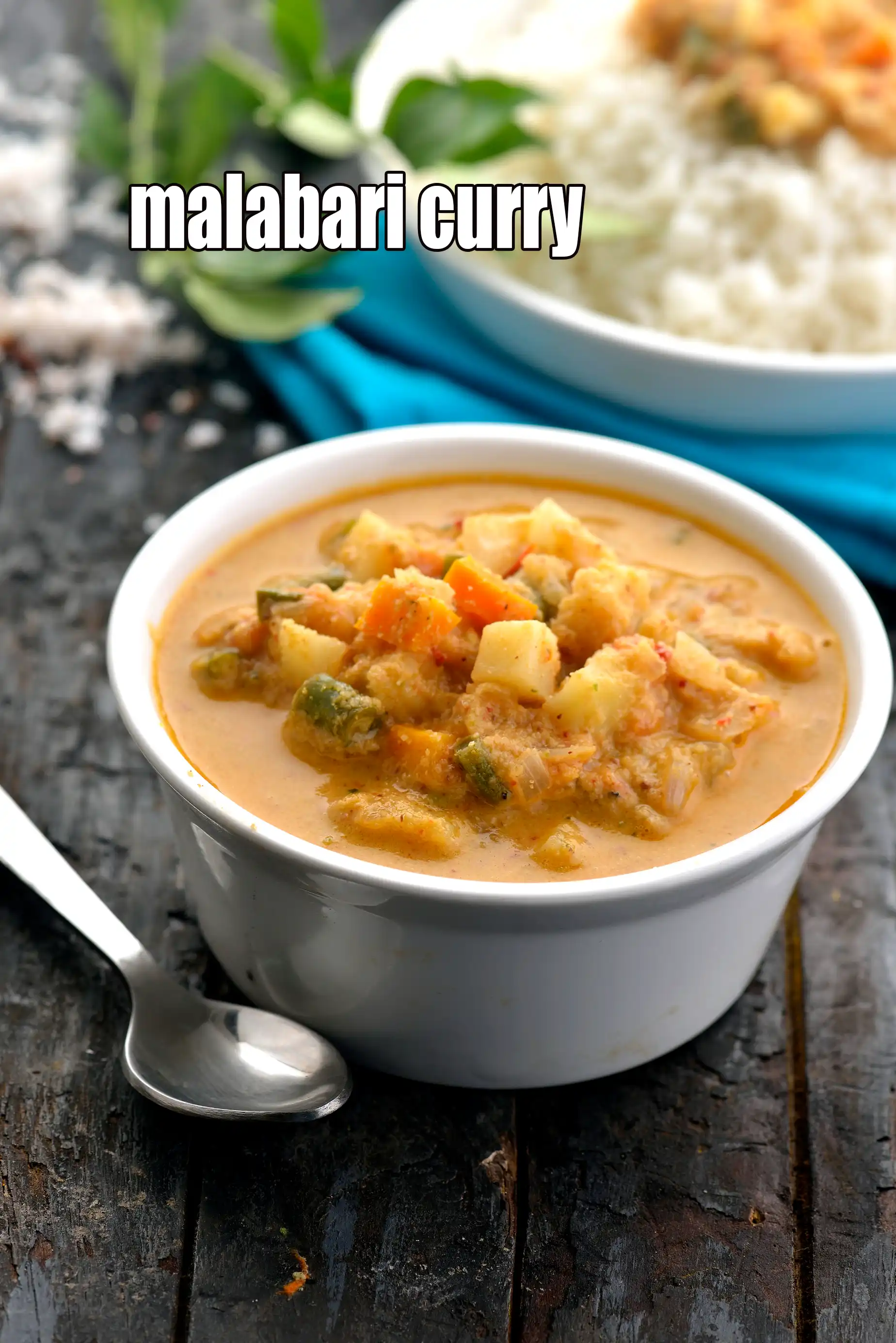 malabari curry recipe | veg malabar curry | South Indian malabari curry |