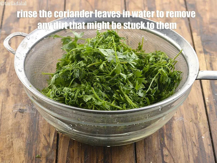 Step 11 – Rinse the coriander leaves in water to remove any dirt that might be stuck to …