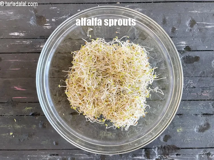 Step 6 – <p>alfalfa sprouts ready for usage in salads.</p>