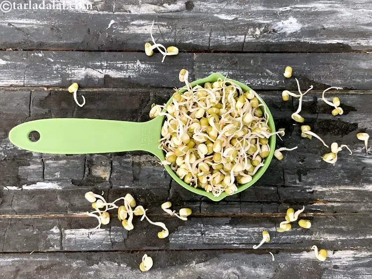 Step 9 – This is what moong sprouts look like.